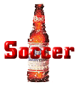 soccer.gif (5270 bytes)